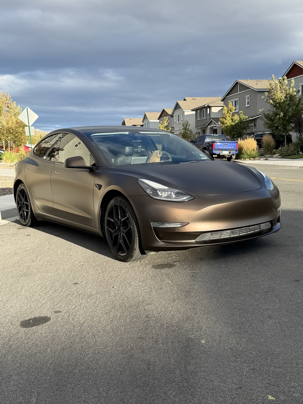 Matte wrapped Tesla Model 3